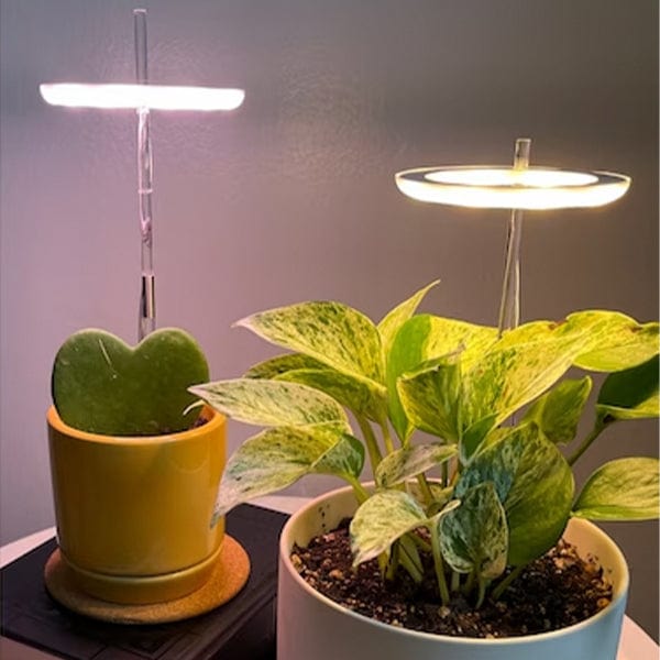 shop.plusyouclub 0 LED Grow Light For Plants
