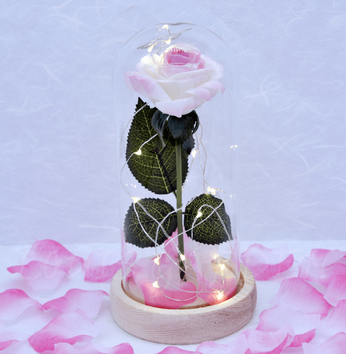 shop.plusyouclub 0 Pink white rose Enchanted Forever Rose LED Light