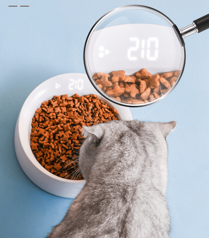 shop.plusyouclub 0 White Pet Bowl Feeder Cat Bowl Pet Smart Weighing Bowl Snack Feeder Pet Supplies Single Bowl Cat And Dog Bowl