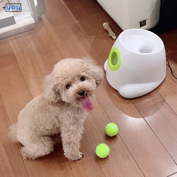 shop.plusyouclub 0 Automatic Tennis Ball Launcher For Dog