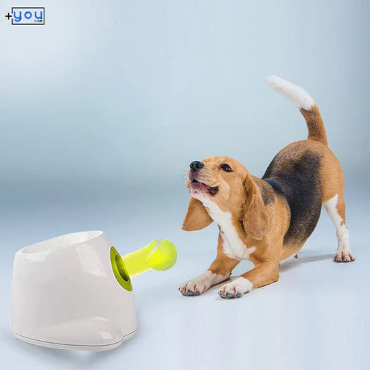 shop.plusyouclub 0 Automatic Tennis Ball Launcher For Dog